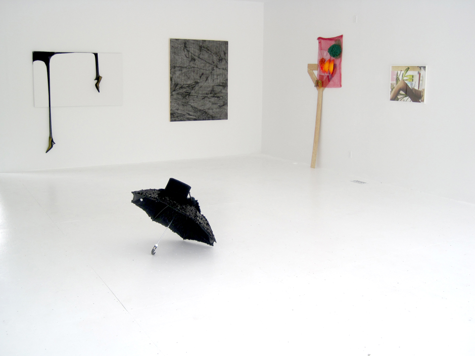 Web Rachel Install 1 The Idea of the Thing That It Isn't - Curated by Rachel Uffner - August 5-September 4, 2011