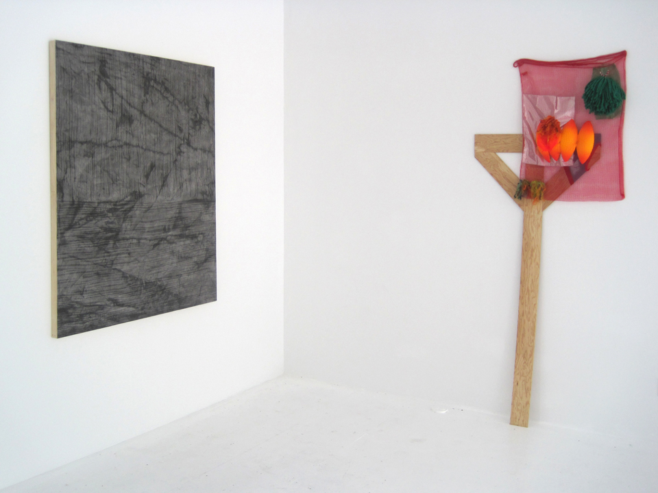 Web Rachel Install 2 The Idea of the Thing That It Isn't - Curated by Rachel Uffner - August 5-September 4, 2011