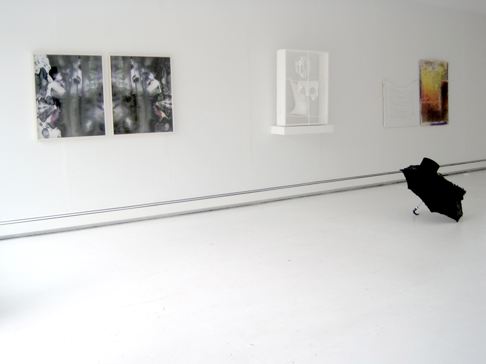 Web Rachel Install 3 The Idea of the Thing That It Isn't - Curated by Rachel Uffner - August 5-September 4, 2011